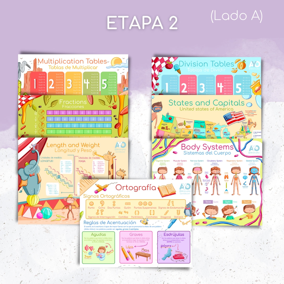 COMBO ETAPA 2